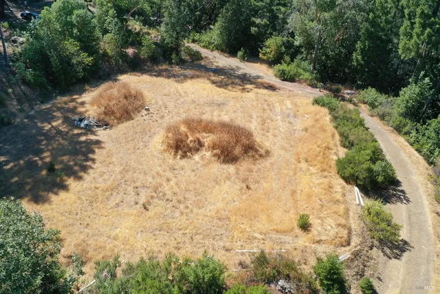 a view of a yard with trees