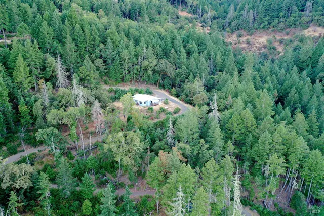 a view of a forest with a street