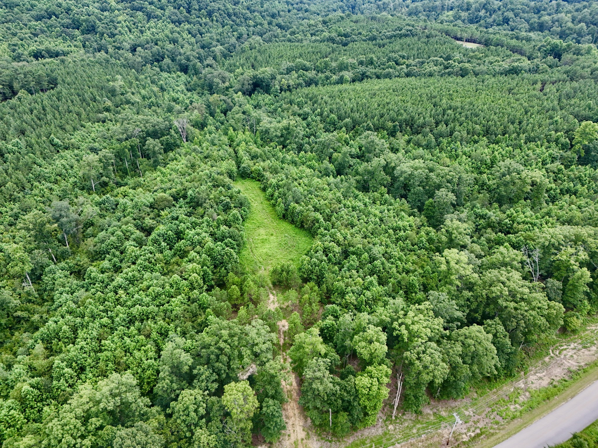 0 Walnut Grove Road Dover, TN 37058 - Photo 1 of 28 Gallery Image 1