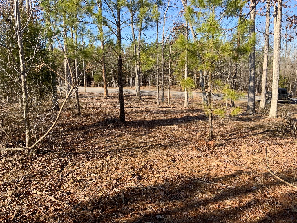 0 Walnut Grove Road Dover, TN 37058 - Photo 13 of 28 Gallery Image 13