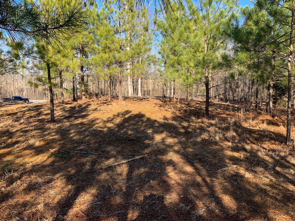 0 Walnut Grove Road Dover, TN 37058 - Photo 24 of 28 Gallery Image 24
