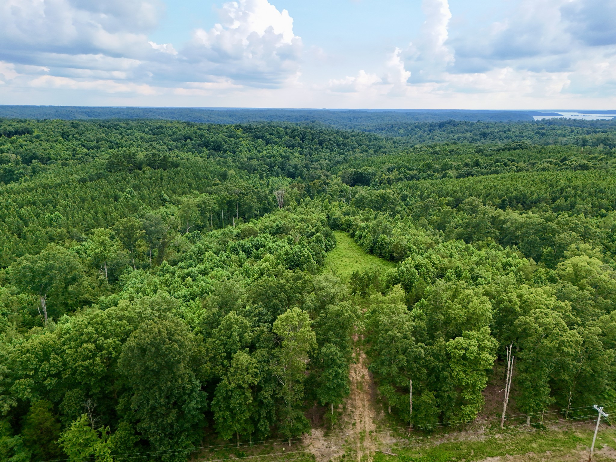 0 Walnut Grove Road Dover, TN 37058 - Photo 6 of 28 Gallery Image 6