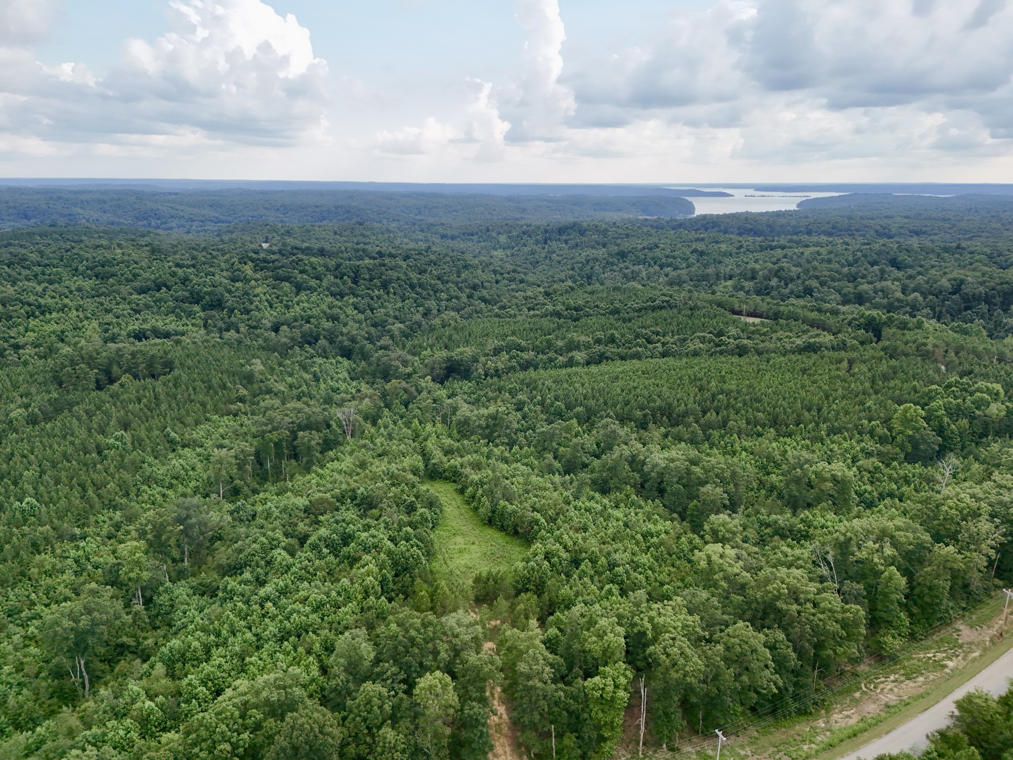 0 Walnut Grove Road Dover, TN 37058 - Photo 8 of 28 Gallery Image 8
