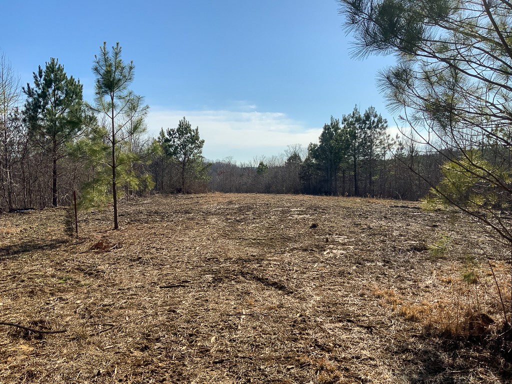 0 Walnut Grove Road Dover, TN 37058 - Photo 10 of 28 Gallery Image 10