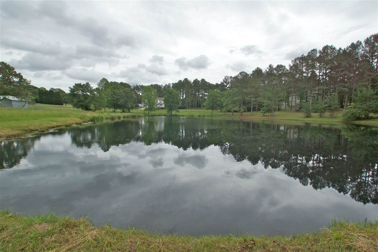 369 Raeford Road Angier, NC 27501 - Photo 29 of 29 Pond