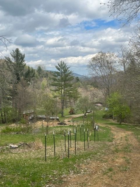 2652 Briar Patch Mountain Road Fries, VA 24330 - Photo 40 of 45 Gallery Image 40