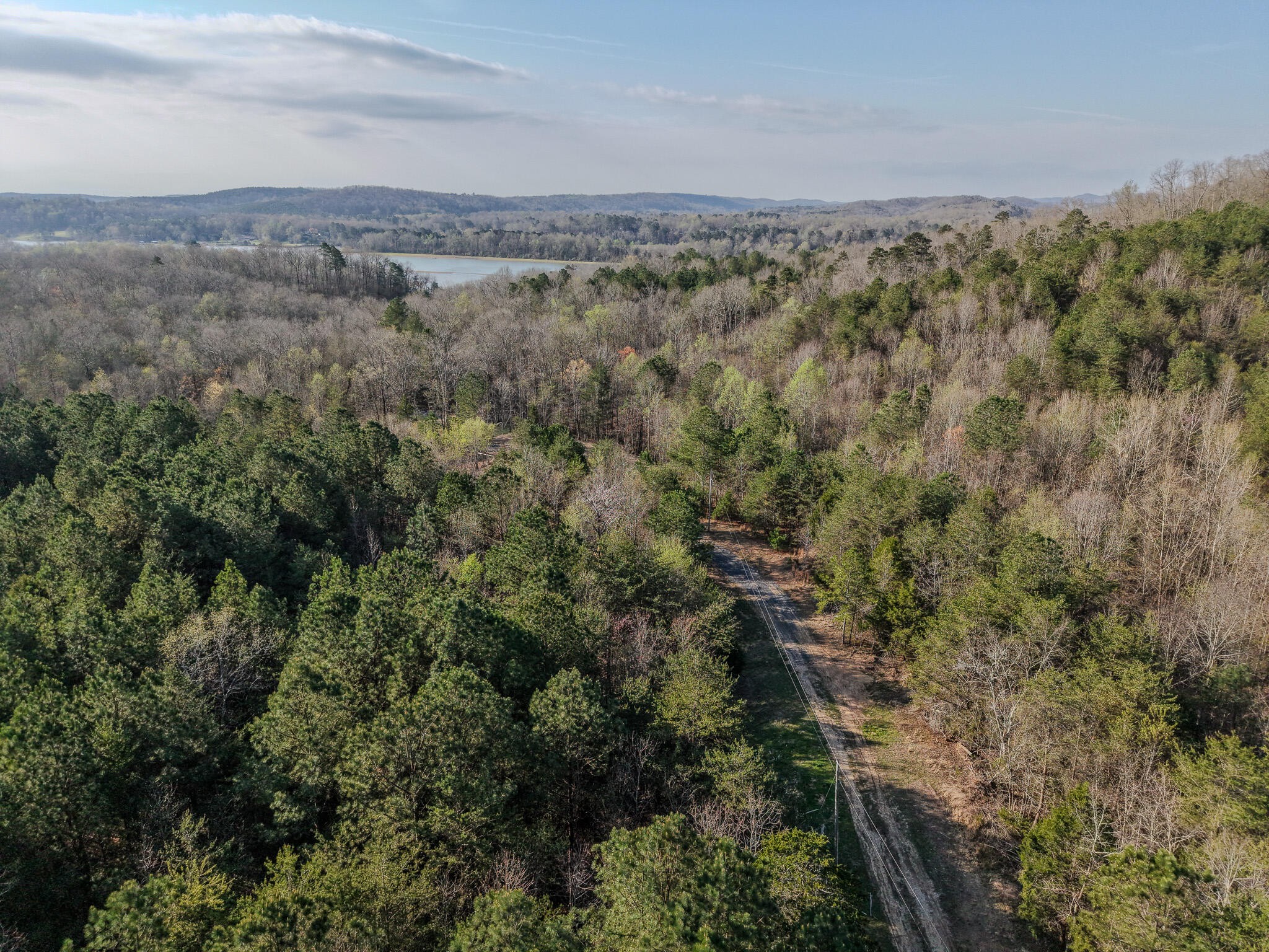 3960 Lamontville Road Decatur, TN 37322 - Photo 4 of 10 a view of a forest with a forest