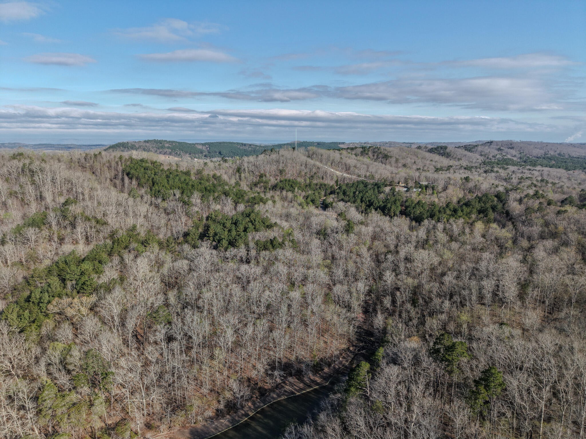3960 Lamontville Road Decatur, TN 37322 - Photo 5 of 10 a view of a yard with an ocean and trees