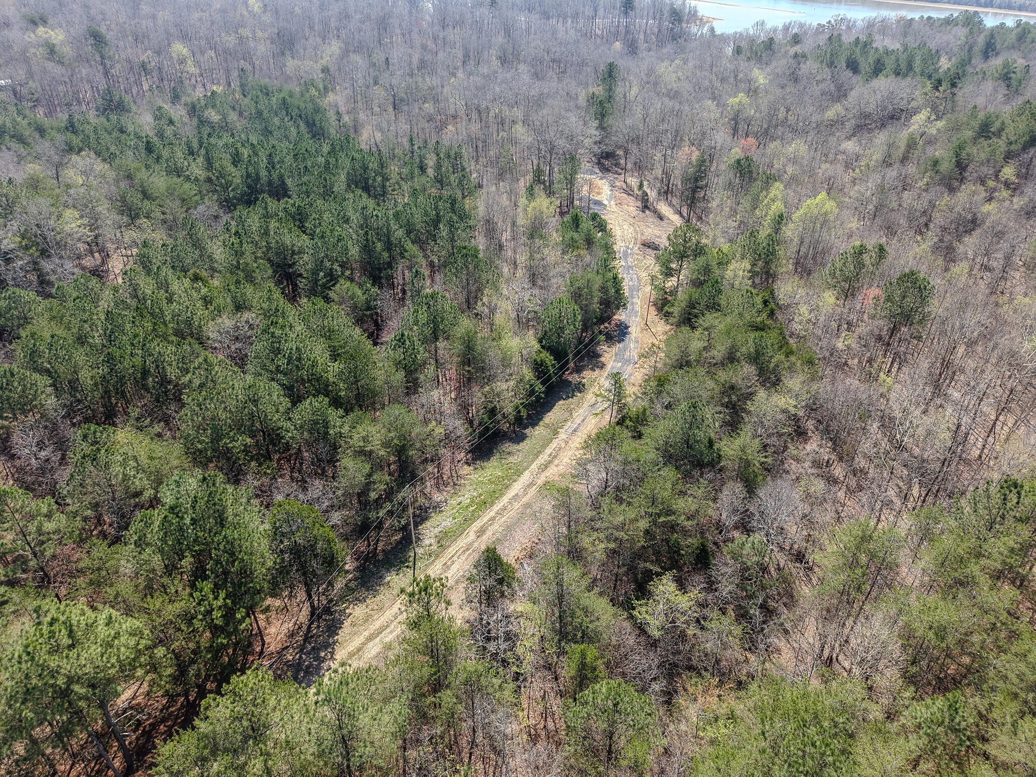 3960 Lamontville Road Decatur, TN 37322 - Photo 7 of 10