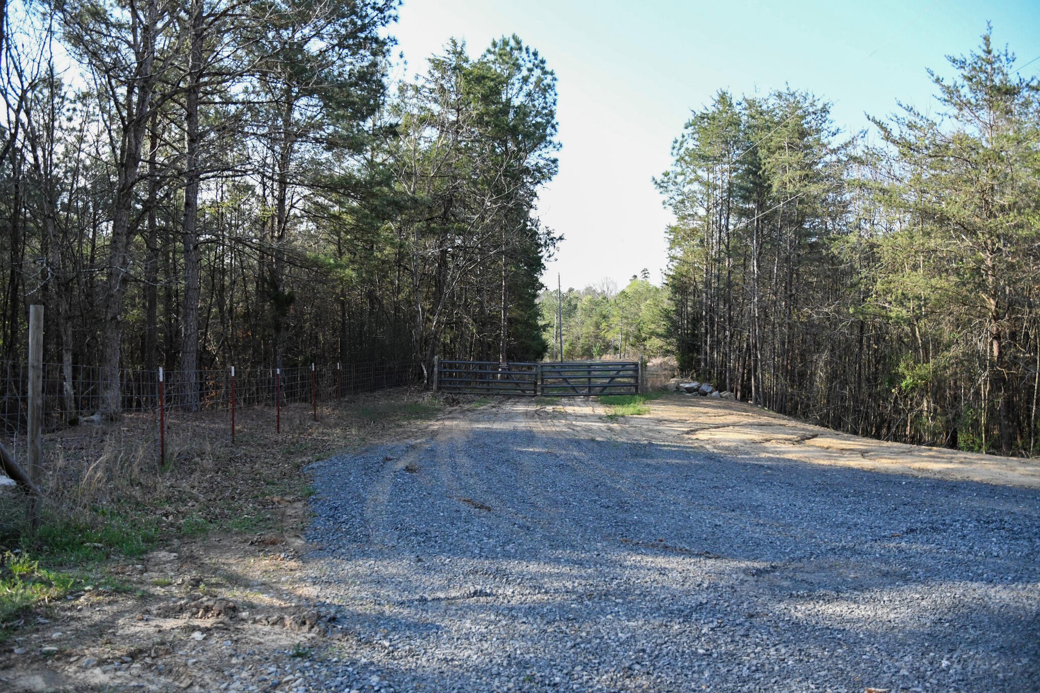 3960 Lamontville Road Decatur, TN 37322 - Photo 8 of 10 a view of a backyard with large trees