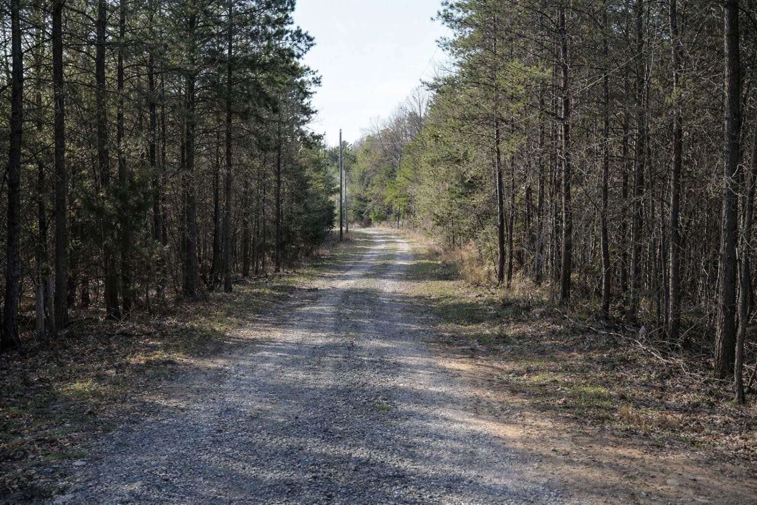 3960 Lamontville Road Decatur, TN 37322 - Photo 9 of 10 a view of a yard with trees in the background