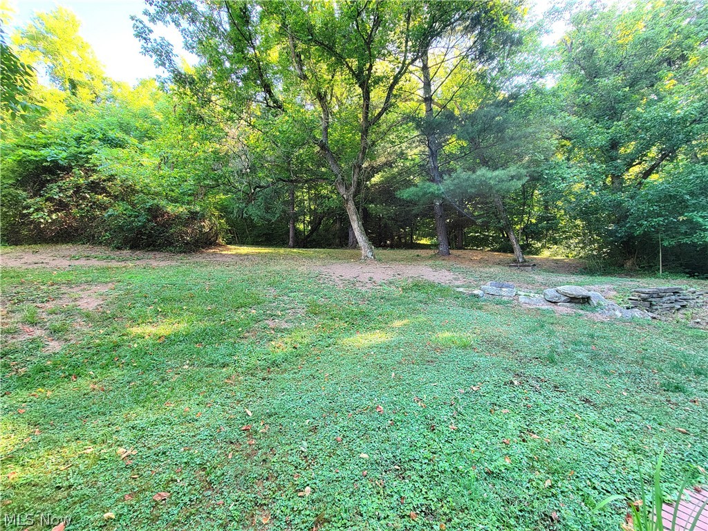 50658 Marietta Road Cumberland, OH 43732 - Photo 5 of 14 View of yard