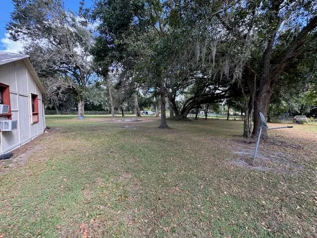 a view of dirt yard with a large tree