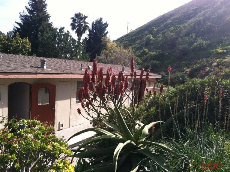 1569 Sycamore Canyon Road Santa Barbara, CA 93108 - Photo 1 of 25 a view of a house with a tree