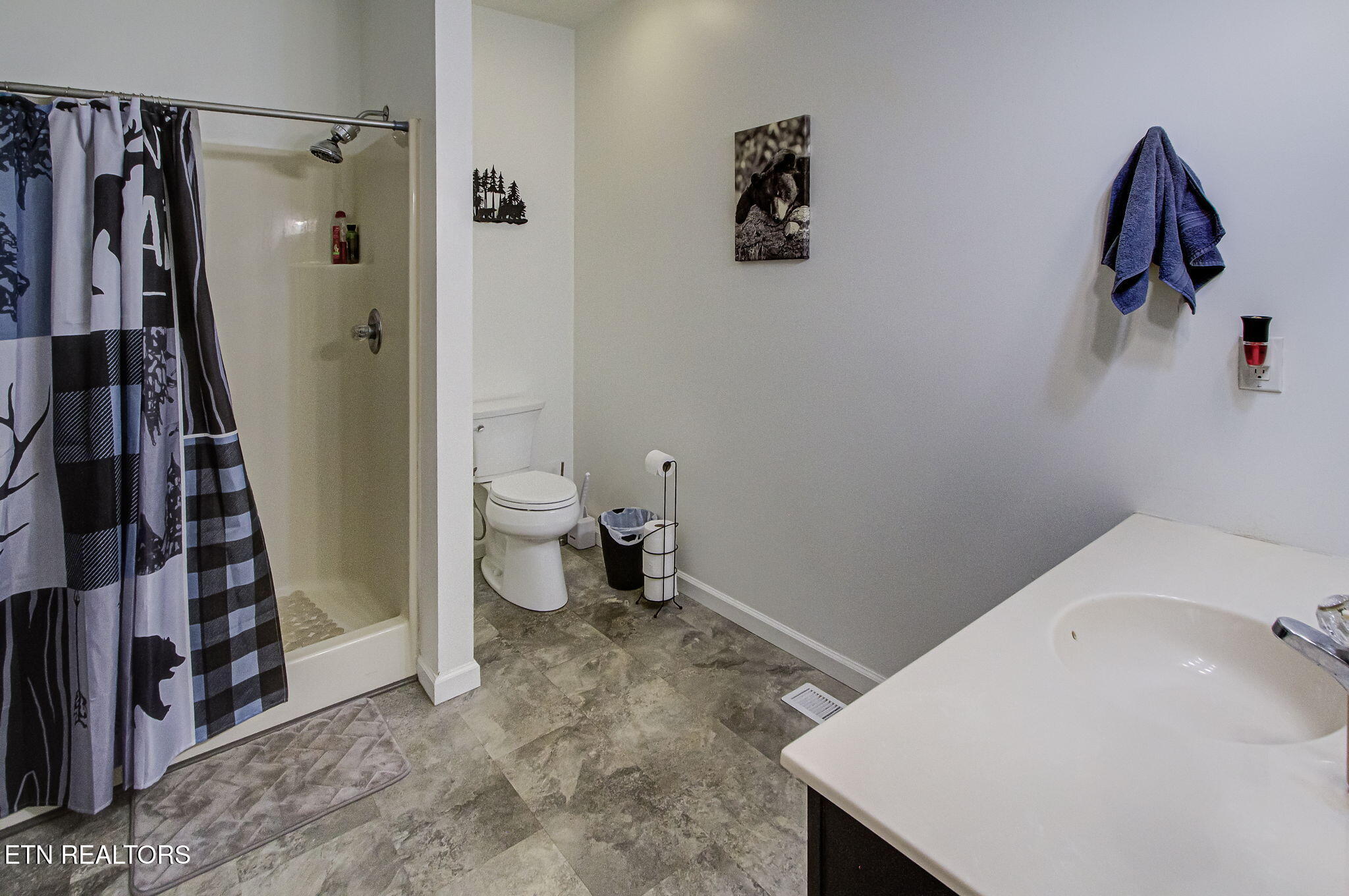 2117 Smith School Road Strawberry Plains, TN 37871 - Photo 16 of 38 IMG_7625