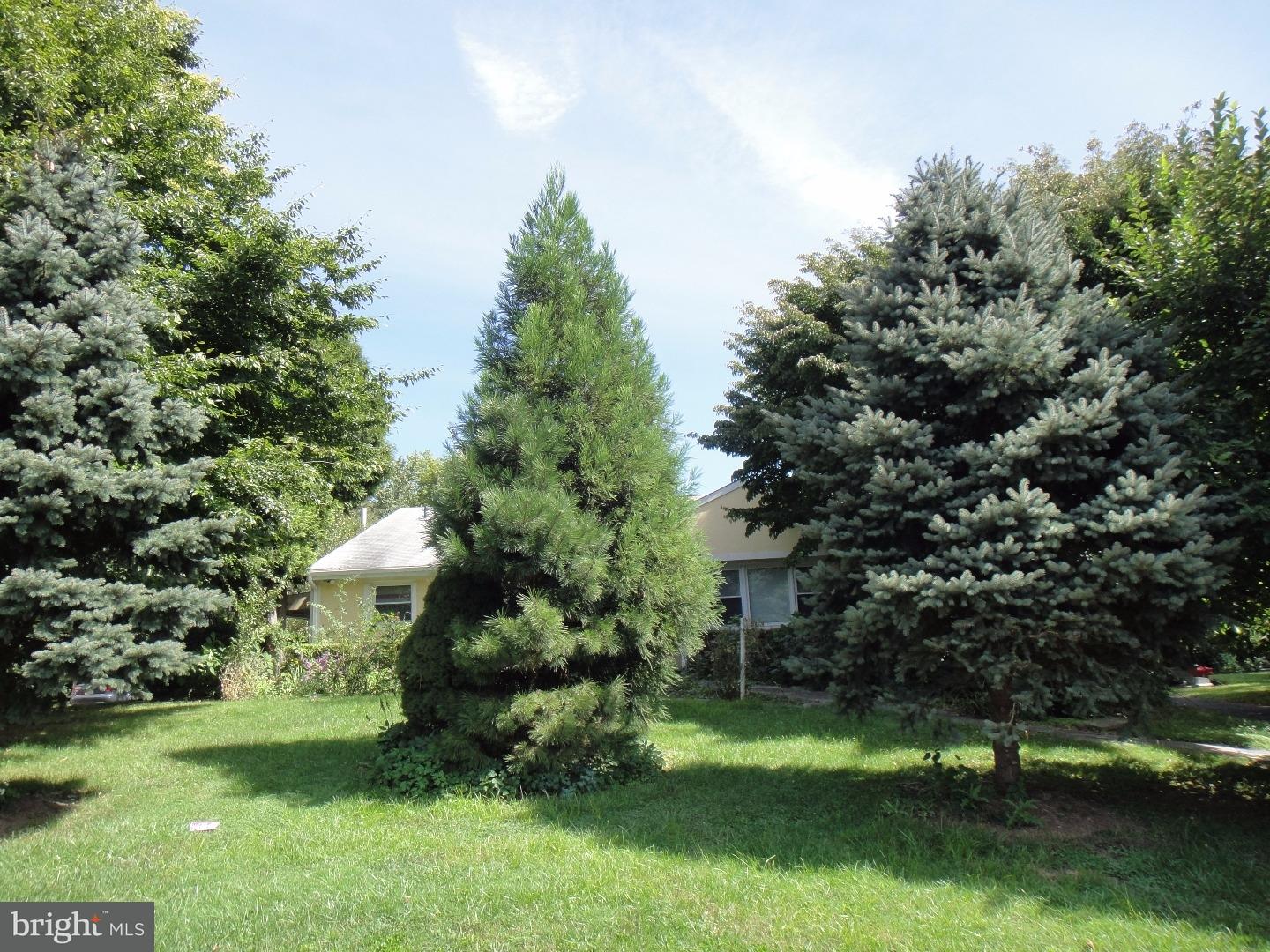 823 Suffolk Road Jenkintown, PA 19046 - Photo 2 of 19 a view of a house with a yard and a garden