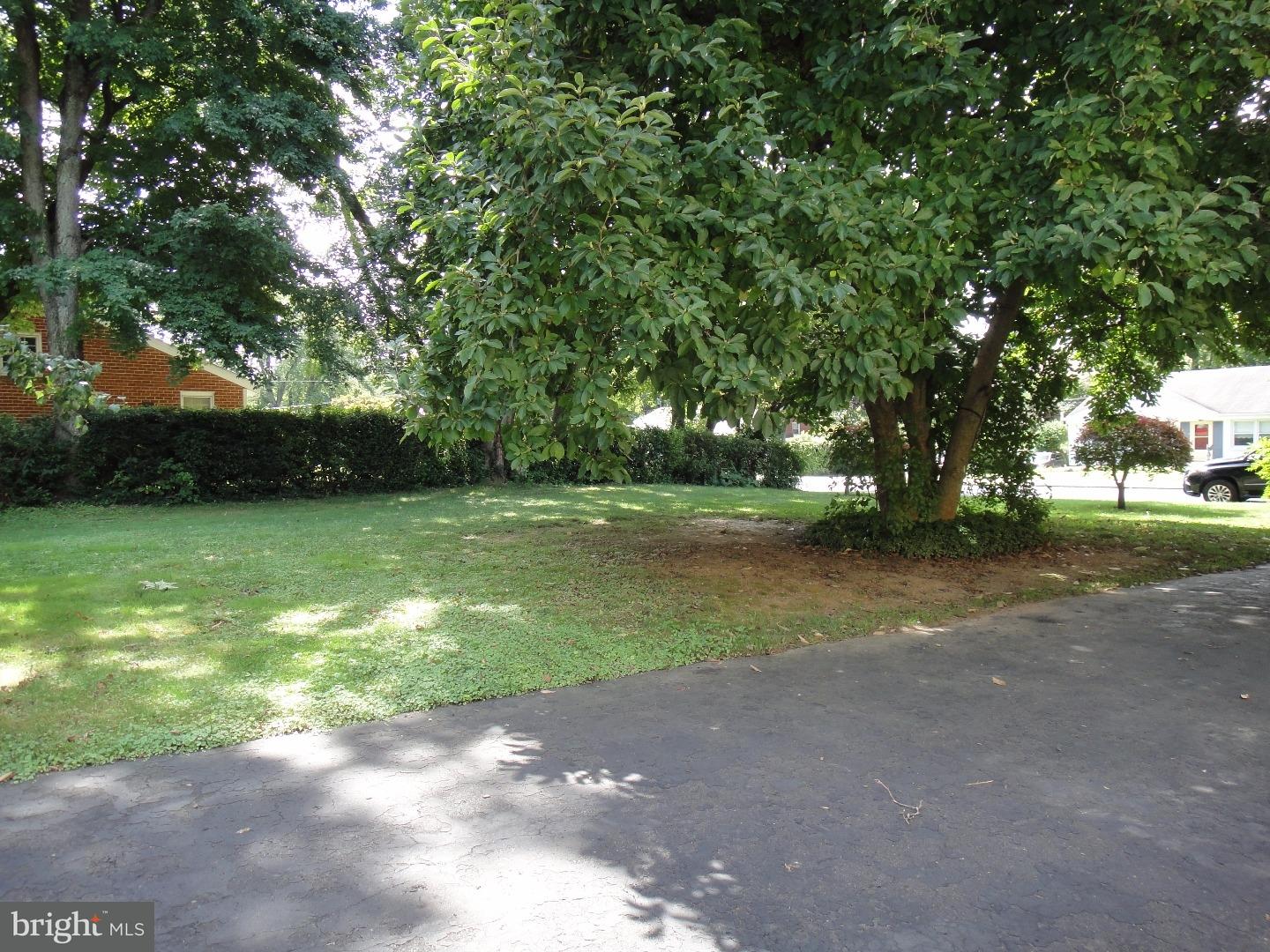 823 Suffolk Road Jenkintown, PA 19046 - Photo 18 of 19 a view of outdoor space with green space
