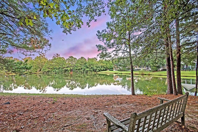 1684 Sewee Fort Road Mount Pleasant, SC 29466 - Photo 4 of 100 Pond view