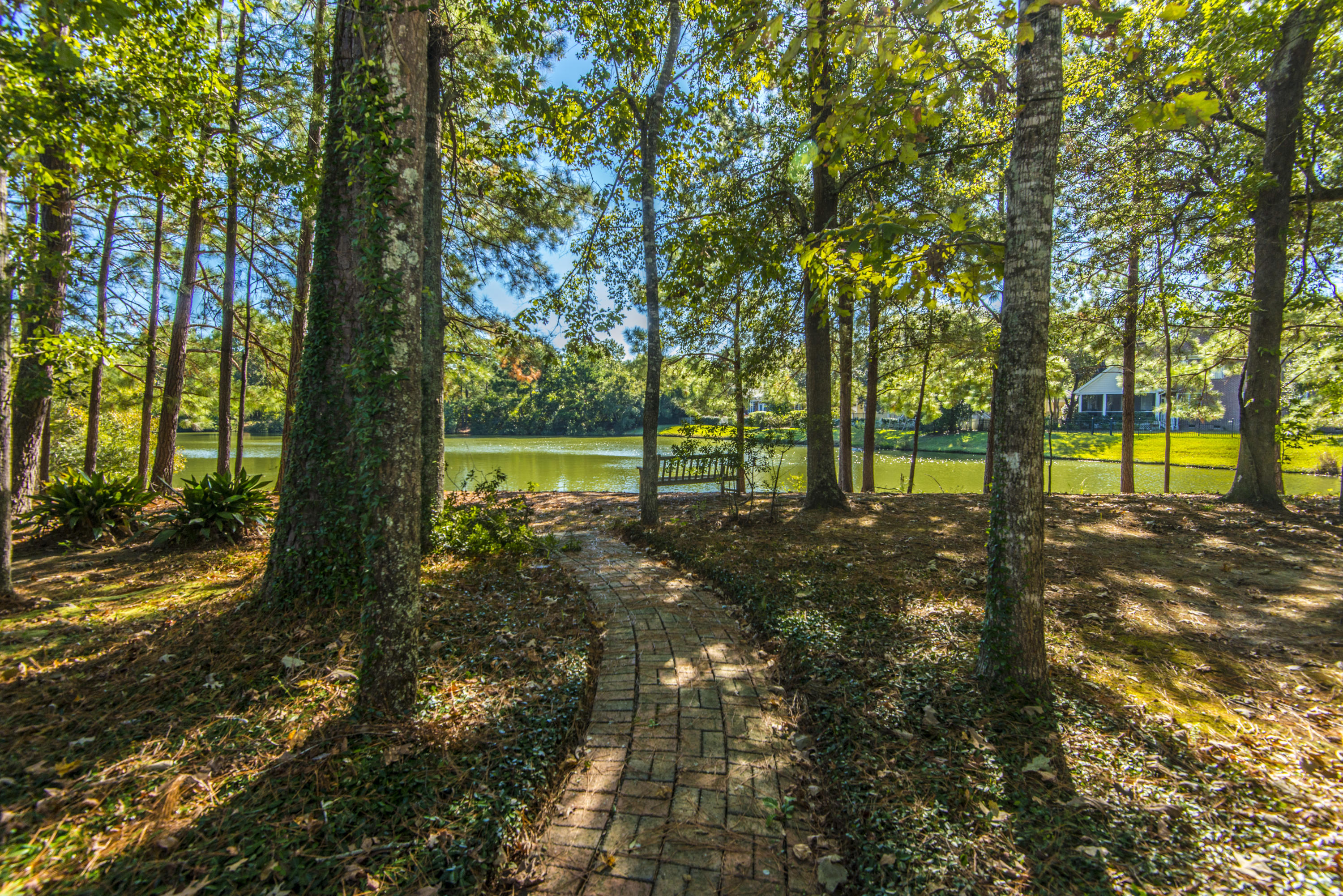 1684 Sewee Fort Road Mount Pleasant, SC 29466 - Photo 6 of 100 Backyard