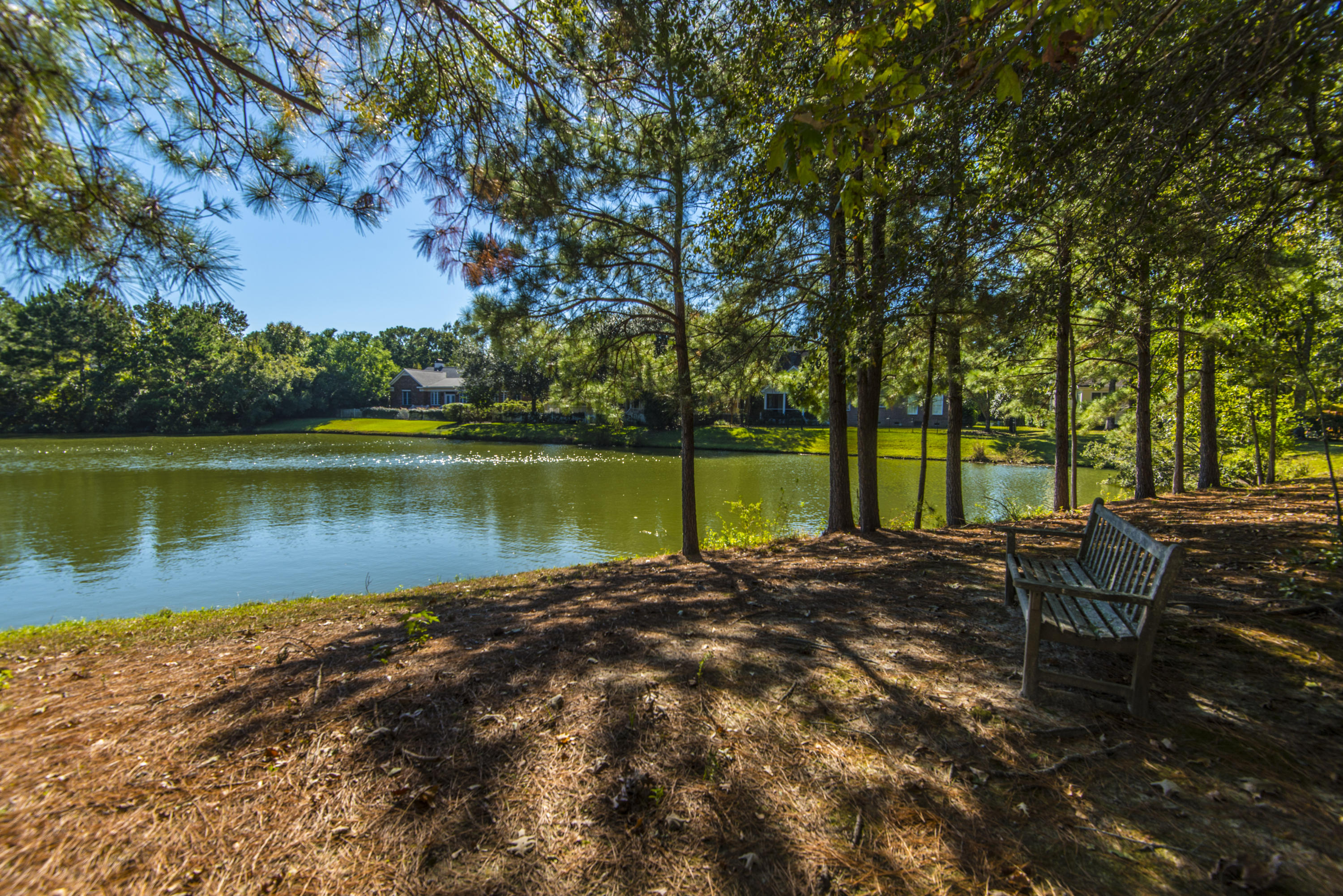 1684 Sewee Fort Road Mount Pleasant, SC 29466 - Photo 7 of 100 Backyard