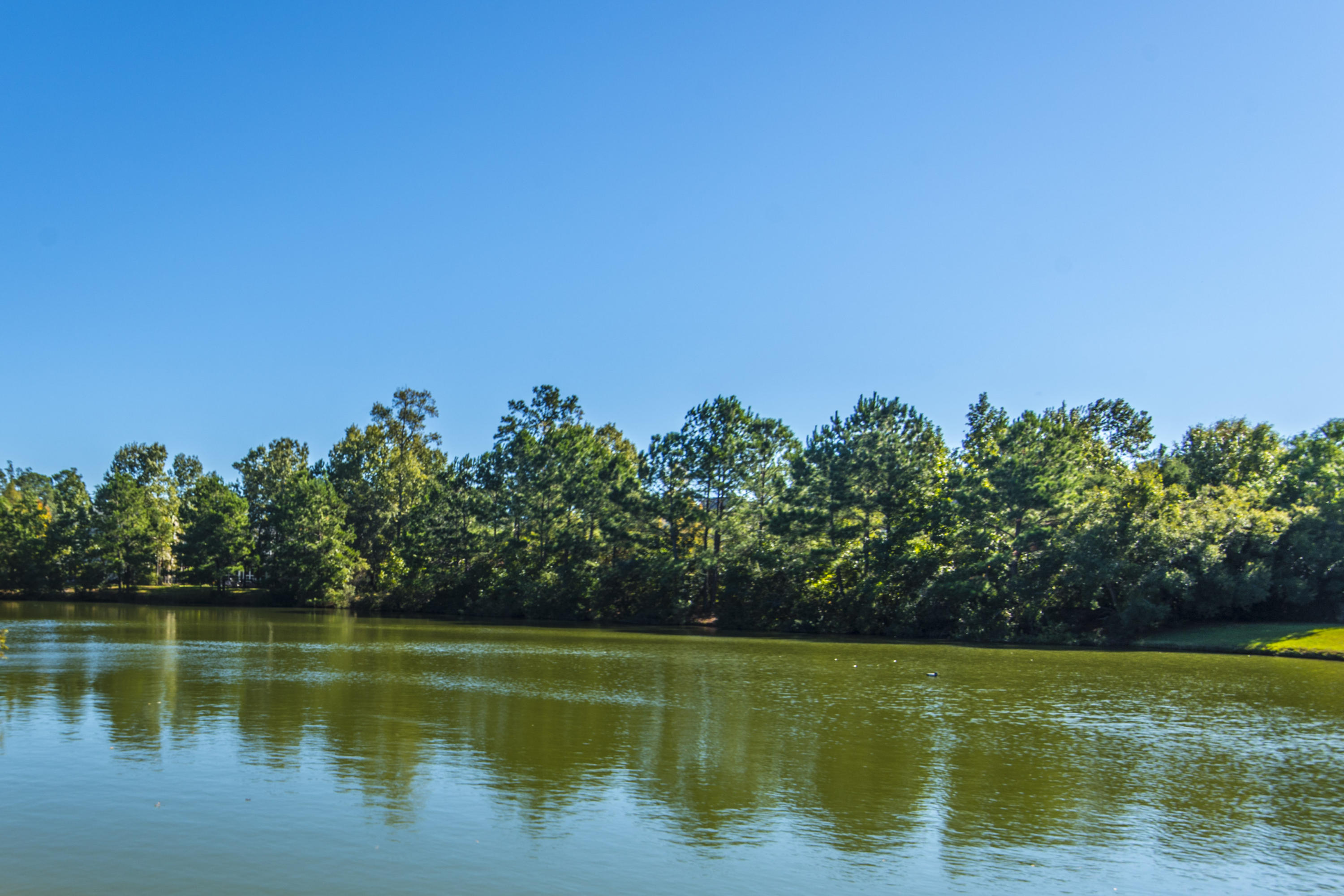 1684 Sewee Fort Road Mount Pleasant, SC 29466 - Photo 8 of 100 Pond