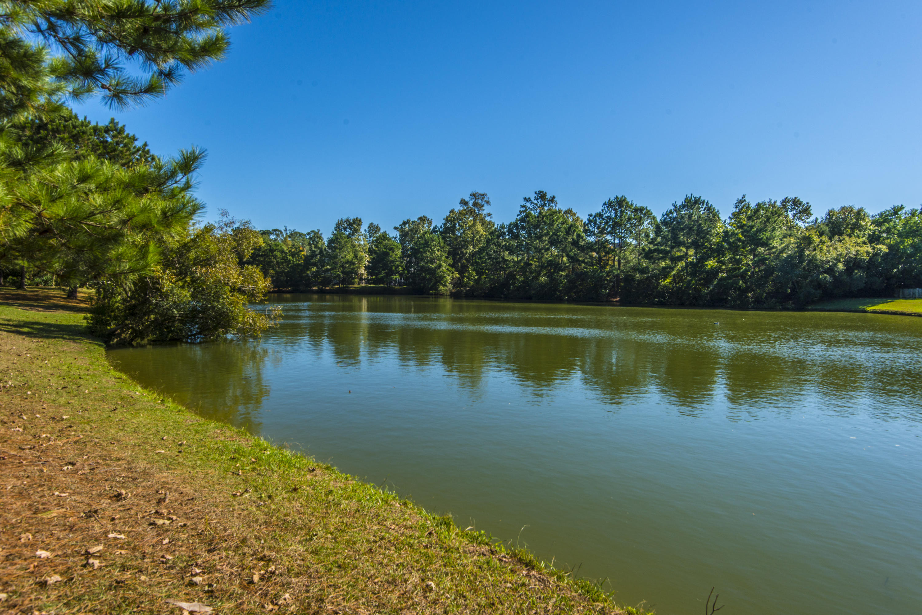 1684 Sewee Fort Road Mount Pleasant, SC 29466 - Photo 9 of 100 Pond