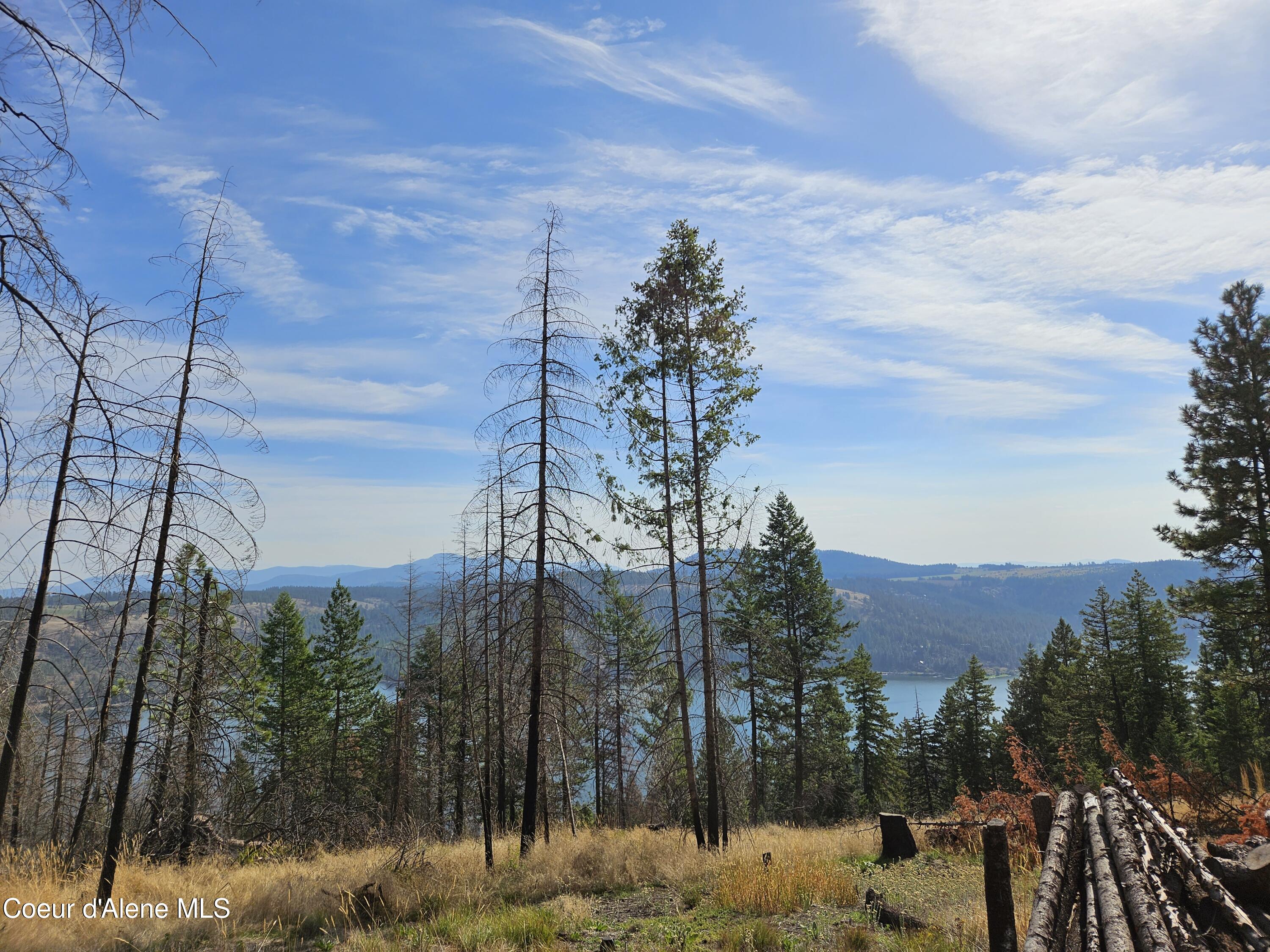 Nka South Bella Vista Road Worley, ID 83876 - Photo 1 of 1 20230917_103617