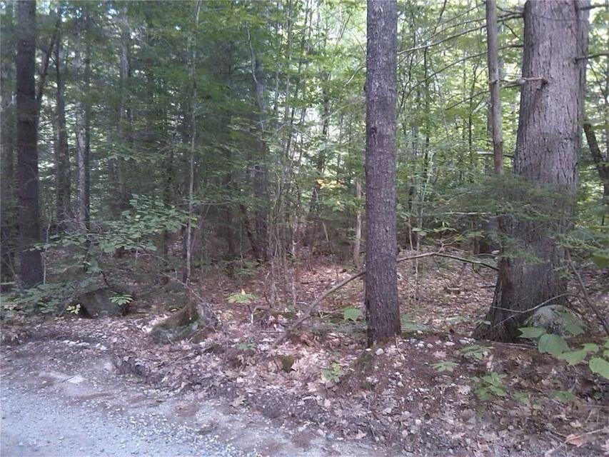 89 Ai Road Raymond, ME 04071 - Photo 4 of 6 Lots of trees