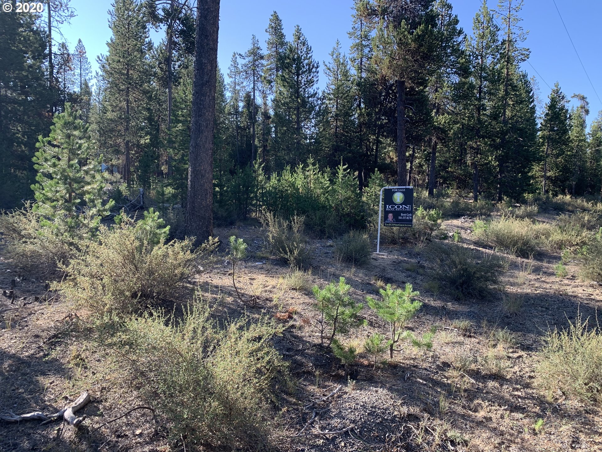Cresent Pines Crescent, OR 97733 - Photo 1 of 11 Gallery Image 1