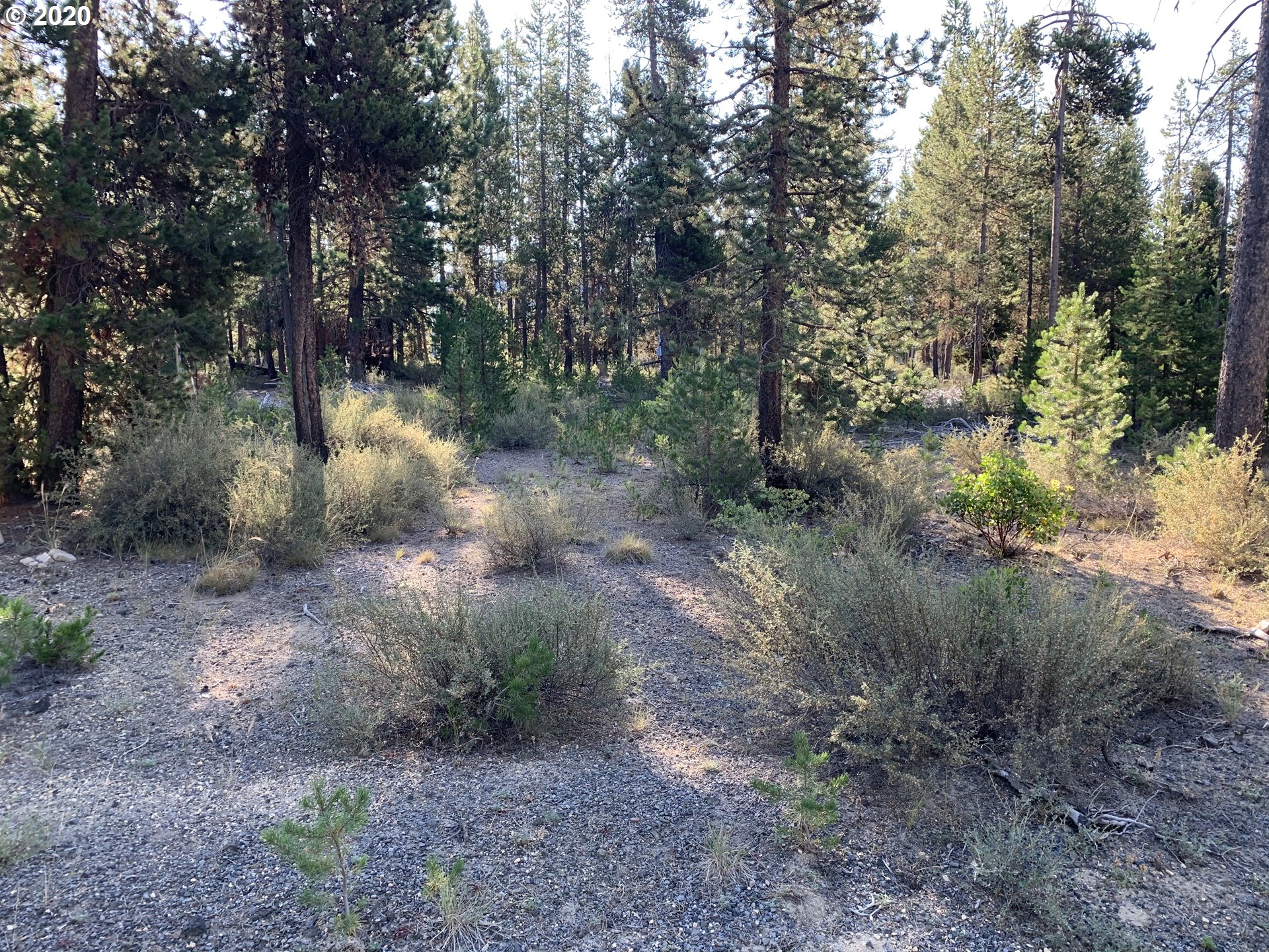 Cresent Pines Crescent, OR 97733 - Photo 4 of 11 Gallery Image 4