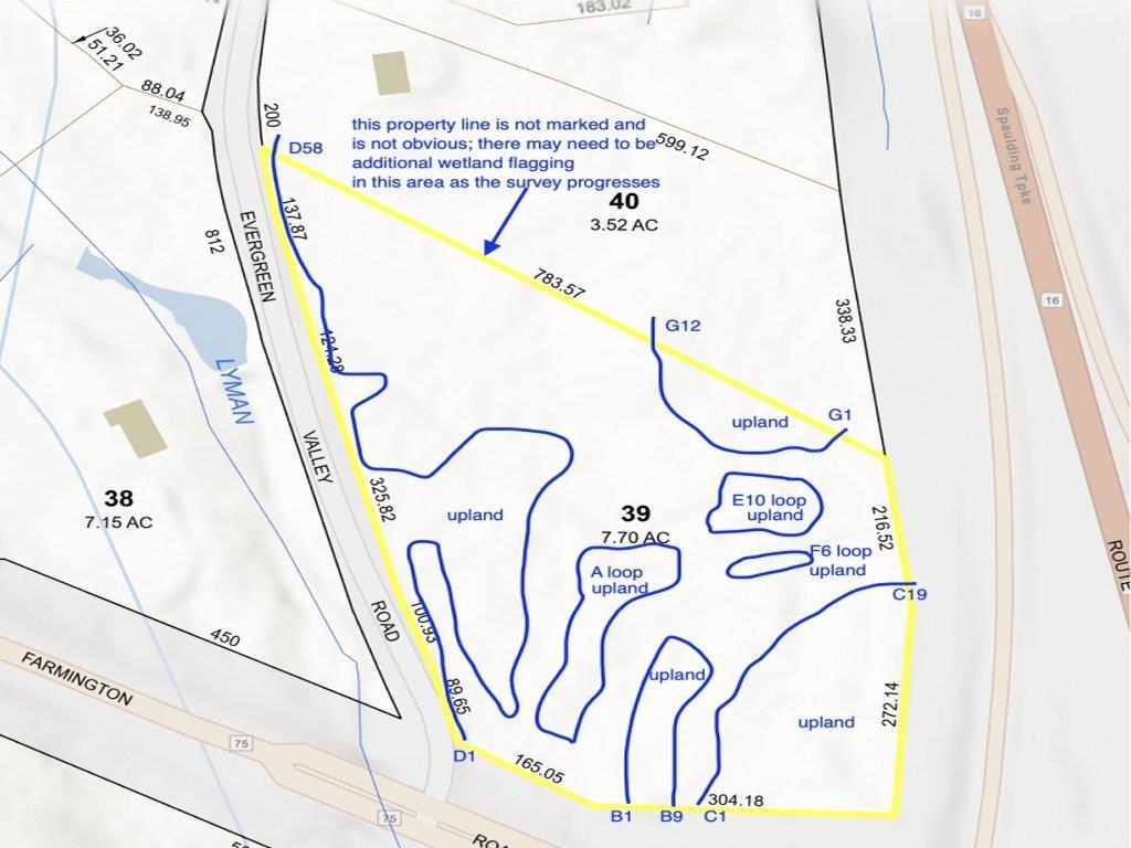 200 Farmington Road Milton, NH 03851 - Photo 2 of 2