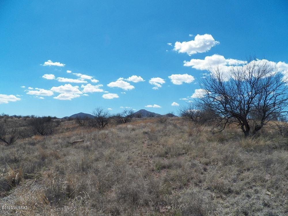 Tbd South Ruby Road, Unit 38000BL Arivaca, AZ 85601 - Photo 3 of 7 Gallery Image 3