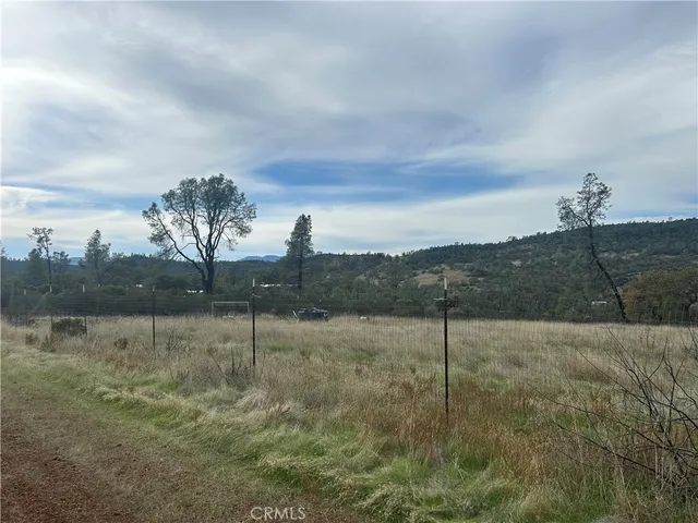a view of a yard in front of a house