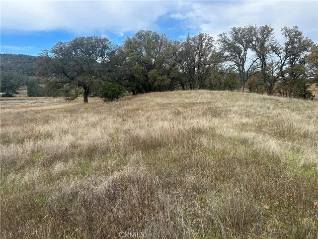 a view of a yard with trees