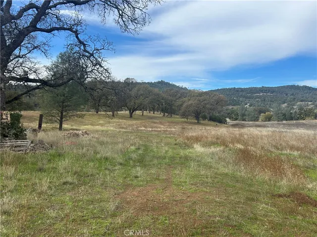 a view of dirt field with trees in the background