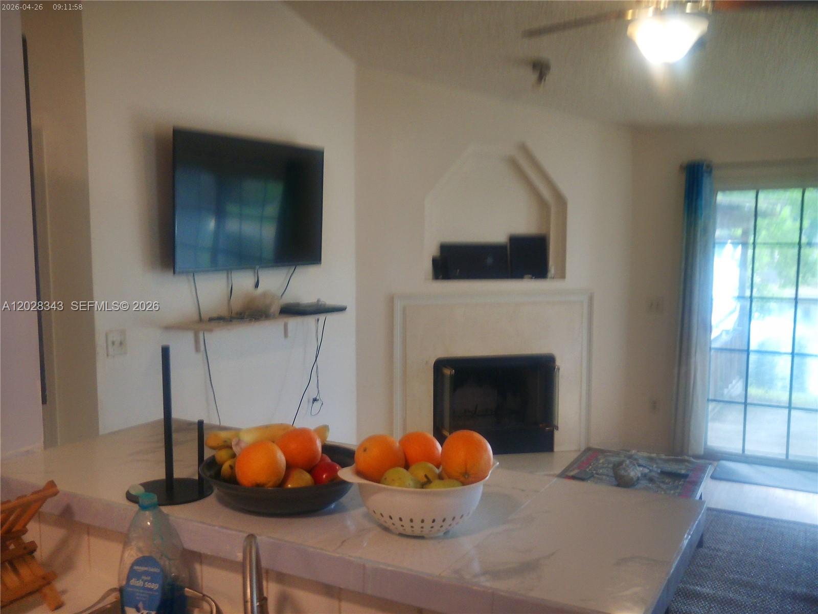 1641 Spring Oaks Lane Jacksonville, FL 32221 - Photo 27 of 44 a room with furniture and a fireplace