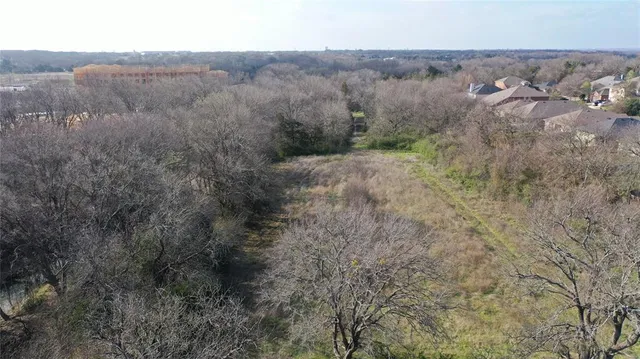 a view of a dry yard with green space