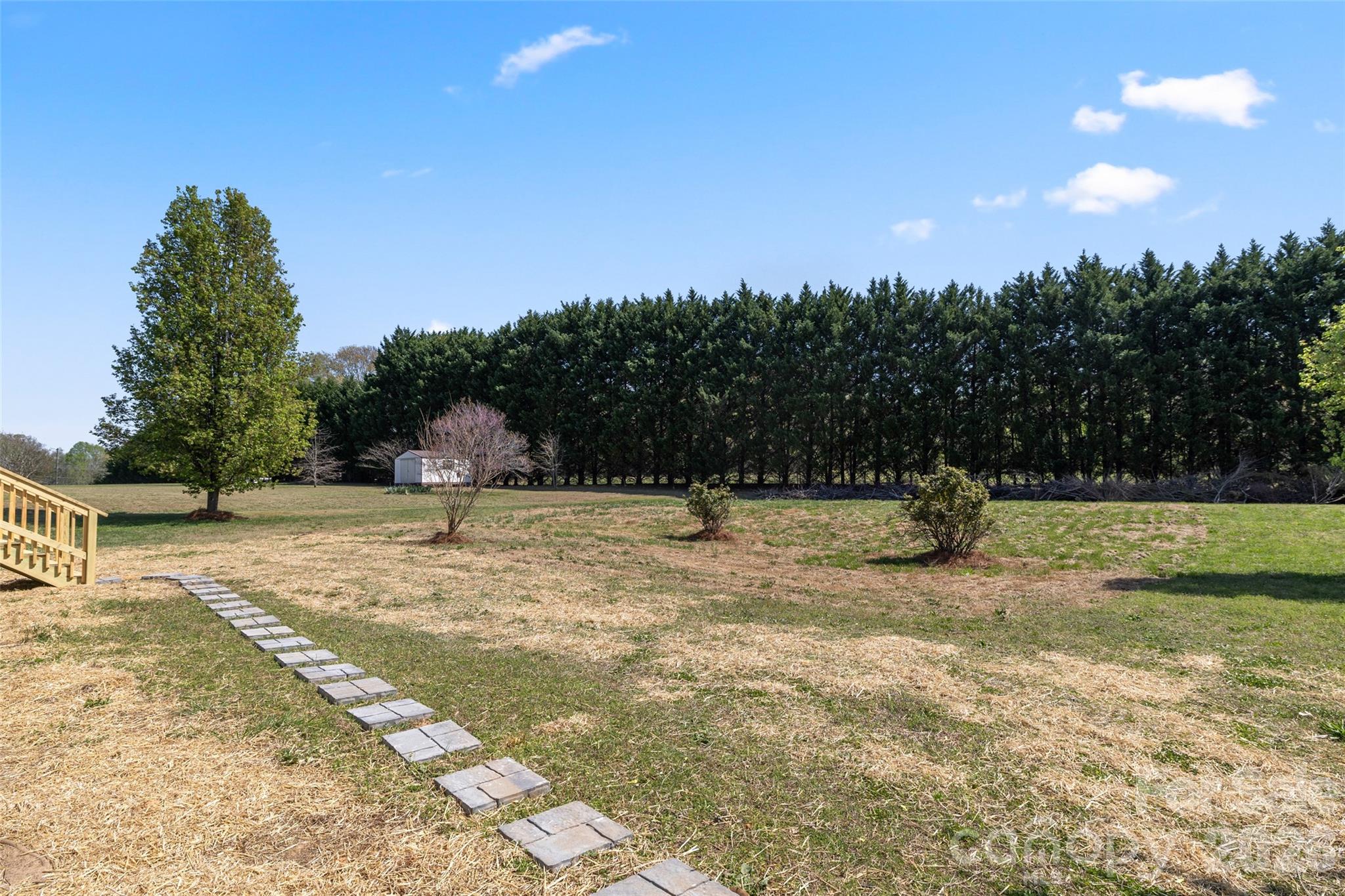 161 Baxter Way Forest City, NC 28043 - Photo 31 of 31 a view of swimming pool with a yard