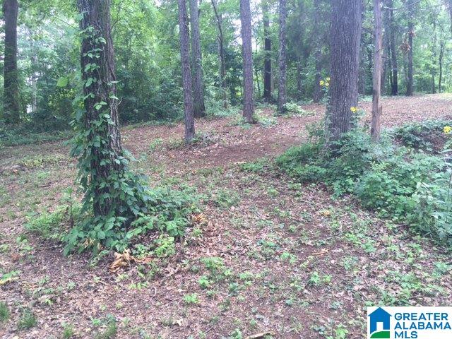 237 Valley View Road, Unit 6 Cropwell, AL 35054 - Photo 8 of 13