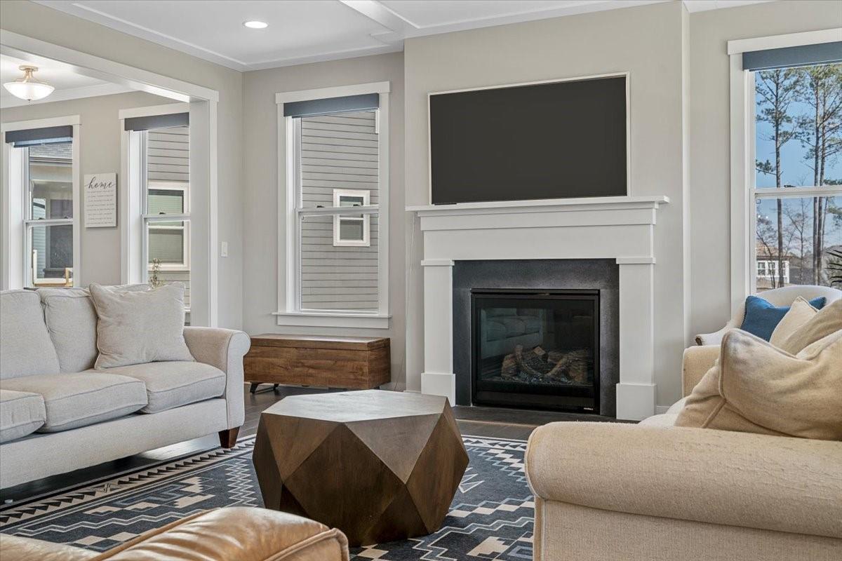 3728 Rustic Pne Way Clover, SC 29710 - Photo 19 of 48 a living room with furniture a flat screen tv and a fireplace