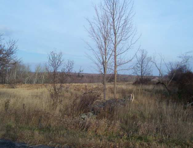366 Town Line Road Rensselaerville, NY 12147 - Photo 5 of 6 Photo 5
