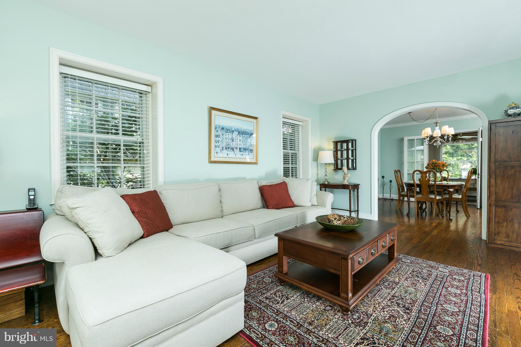 315 Tunbridge Road Baltimore, MD 21212 - Photo 7 of 30 Living Room