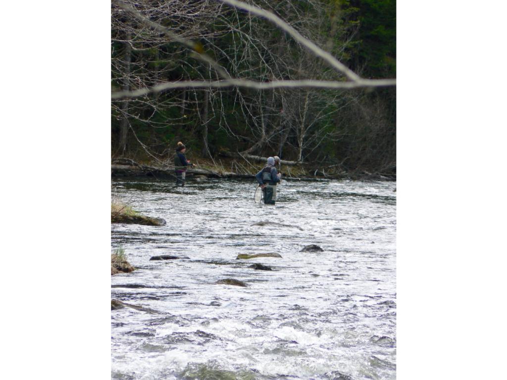 C5-404 River Road Pittsburg, NH 03592 - Photo 14 of 20 Gallery Image 14