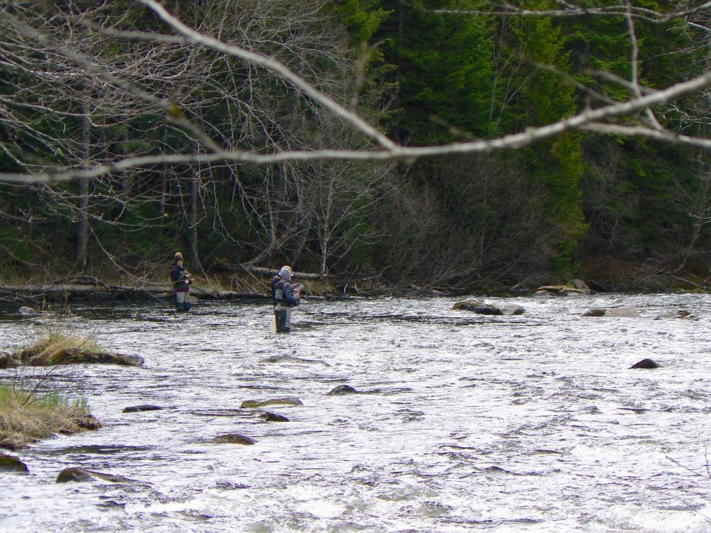 C5-404 River Road Pittsburg, NH 03592 - Photo 17 of 20 Gallery Image 17