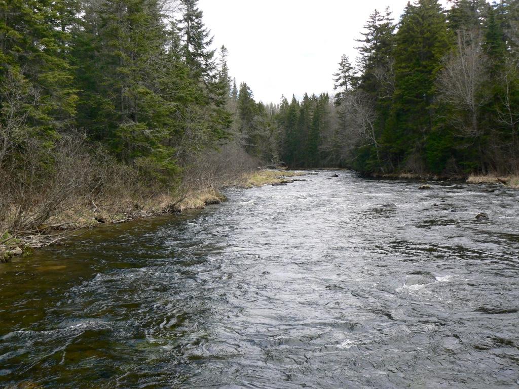 C5-404 River Road Pittsburg, NH 03592 - Photo 8 of 20 Gallery Image 8