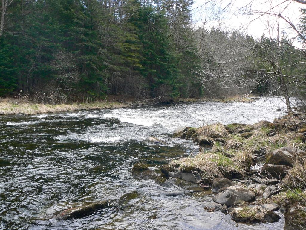 C5-404 River Road Pittsburg, NH 03592 - Photo 9 of 20 Gallery Image 9