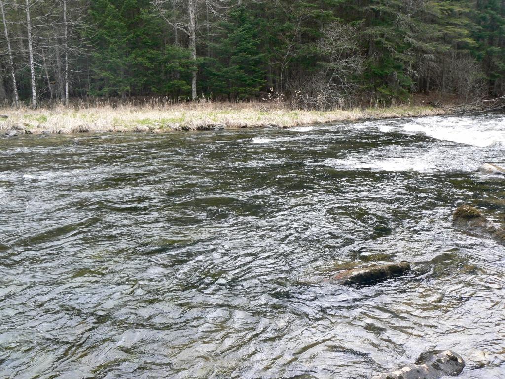 C5-404 River Road Pittsburg, NH 03592 - Photo 10 of 20 Gallery Image 10