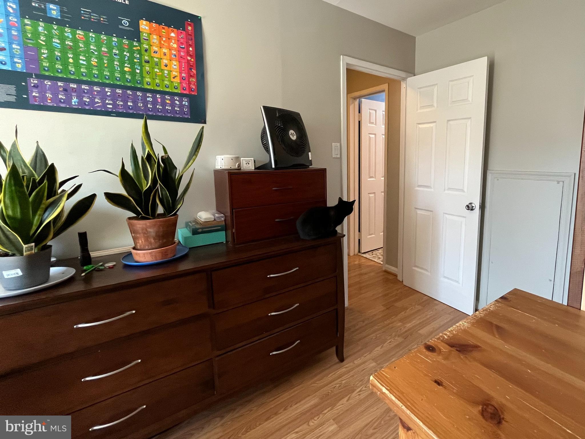 6153 Edsall Road, Unit E Alexandria, VA 22304 - Photo 10 of 12 a living room with furniture and a potted plant