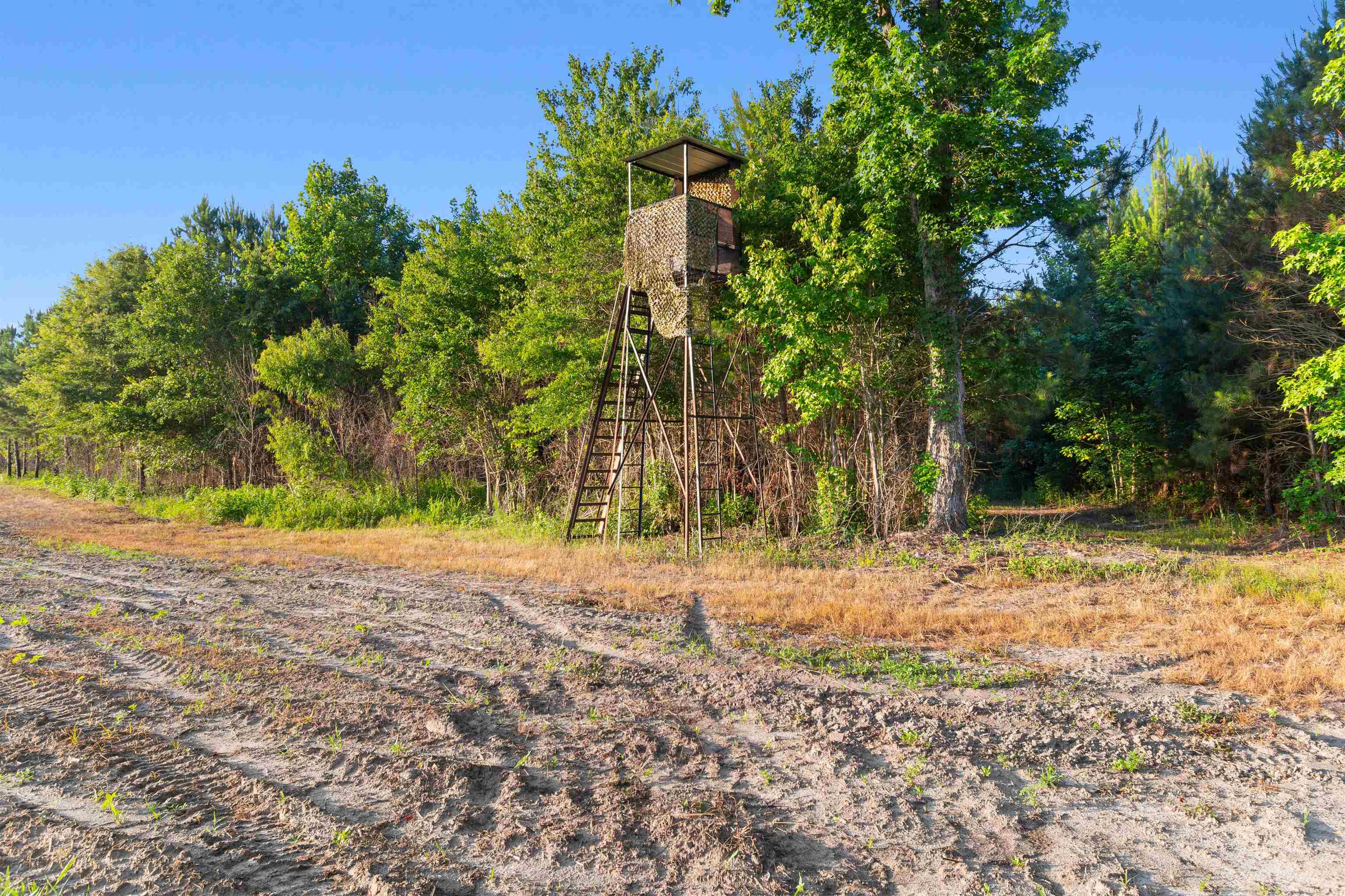 77-acres - Tbd Bert Hanna Road Hemingway, SC 29554 - Photo 12 of 28