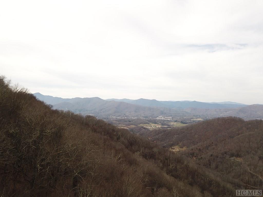 0 Pigeon Road Canton, NC 28716 - Photo 3 of 27 Gallery Image 3